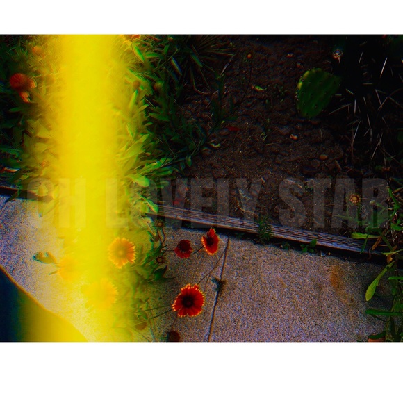Lovely Star * Photography Art Print - Picture 3 of 5